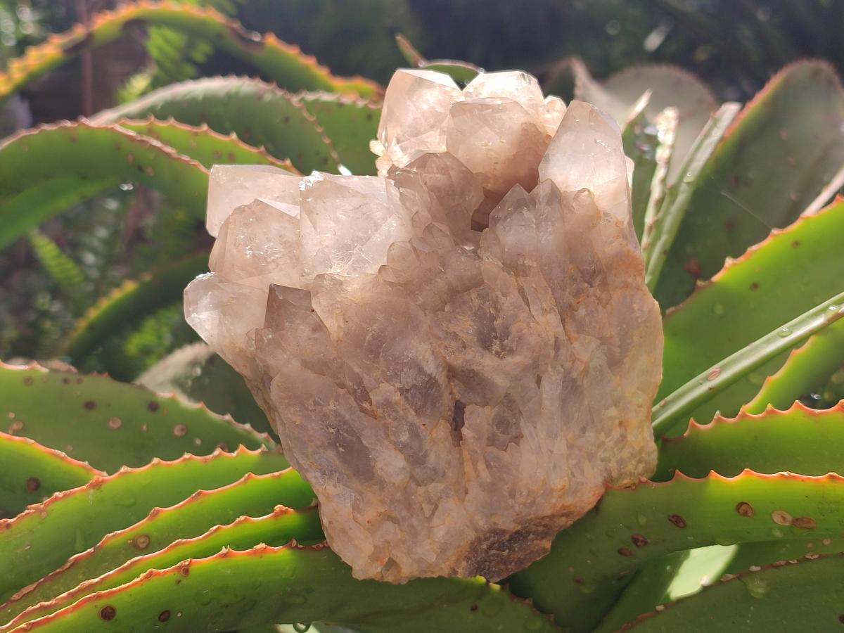 Natural White Phantom Cascading Smokey Luena Quartz Clusters x 2 From Luena, Congo