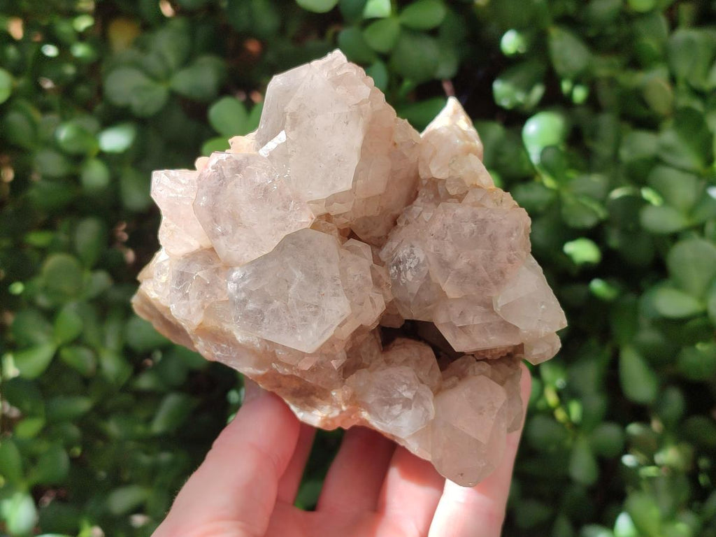 Natural White Phantom Cascading Smokey Luena Quartz Clusters x 2 From Luena, Congo