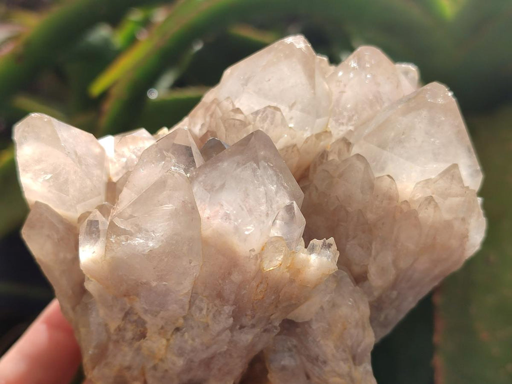 Natural White Phantom Cascading Smokey Luena Quartz Clusters x 2 From Luena, Congo