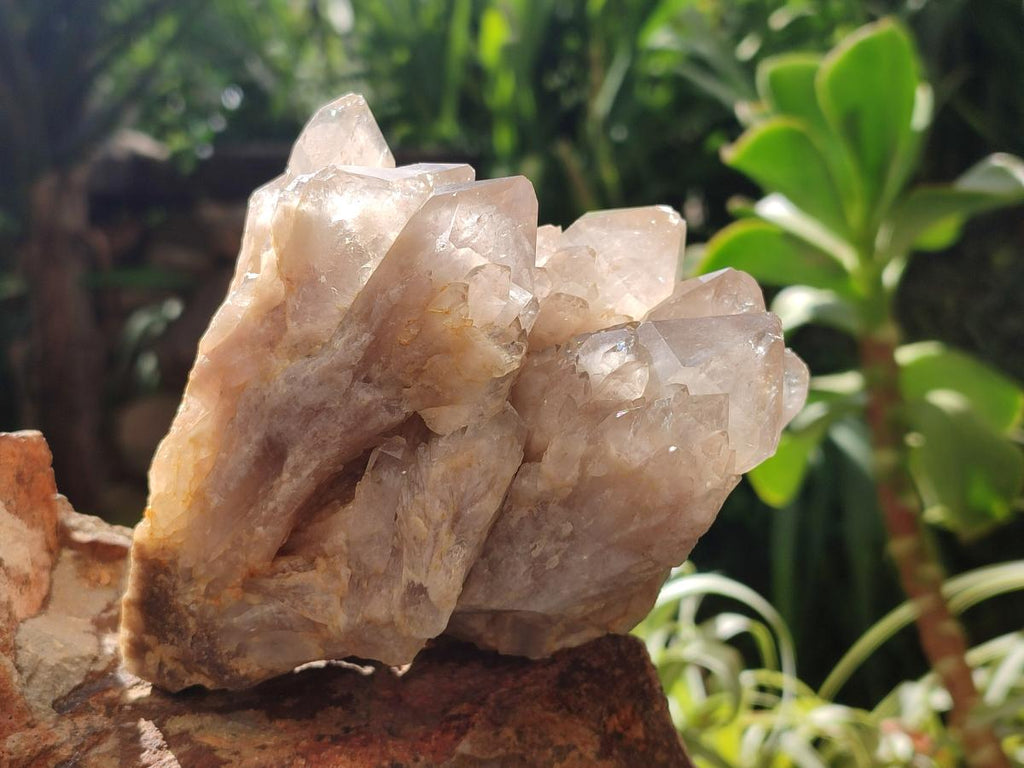 Natural White Phantom Cascading Smokey Luena Quartz Clusters x 2 From Luena, Congo