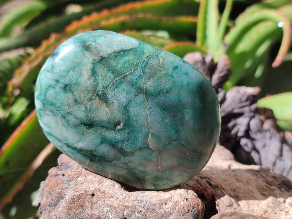 Polished Large Verdite Free Forms x 6 From Zimbabwe