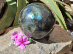Polished Large Labradorite Sphere x 1 From Madagascar