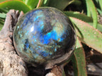 Polished Large Labradorite Sphere x 1 From Madagascar