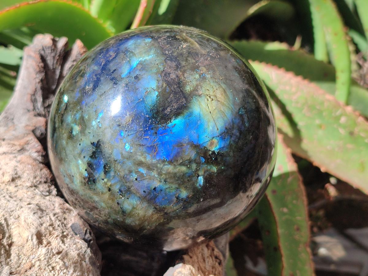 Polished Large Labradorite Sphere x 1 From Madagascar