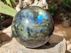 Polished Large Labradorite Sphere x 1 From Madagascar