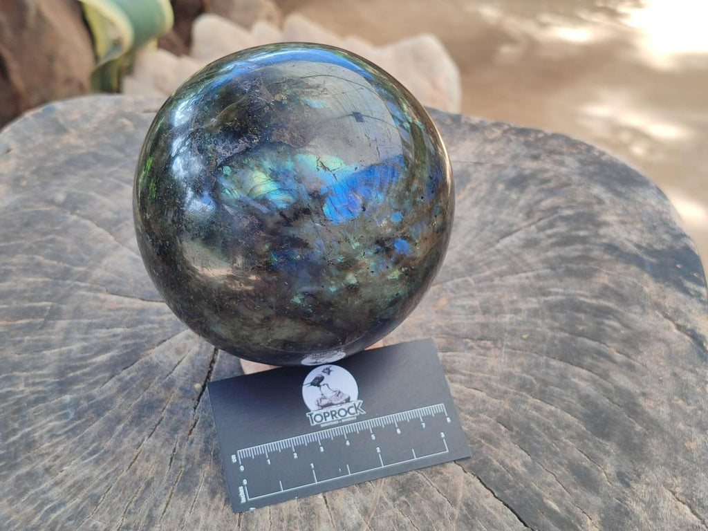 Polished Large Labradorite Sphere x 1 From Madagascar