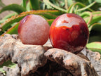 Polished Carnelian Agate Gemstone Galets x 12 From Madagascar