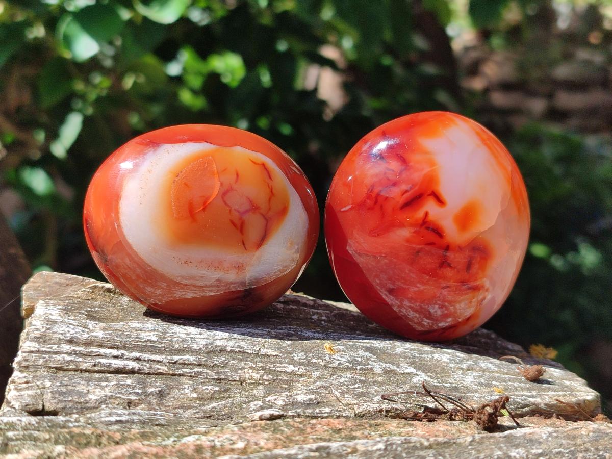 Polished Carnelian Agate Gemstone Galets x 12 From Madagascar