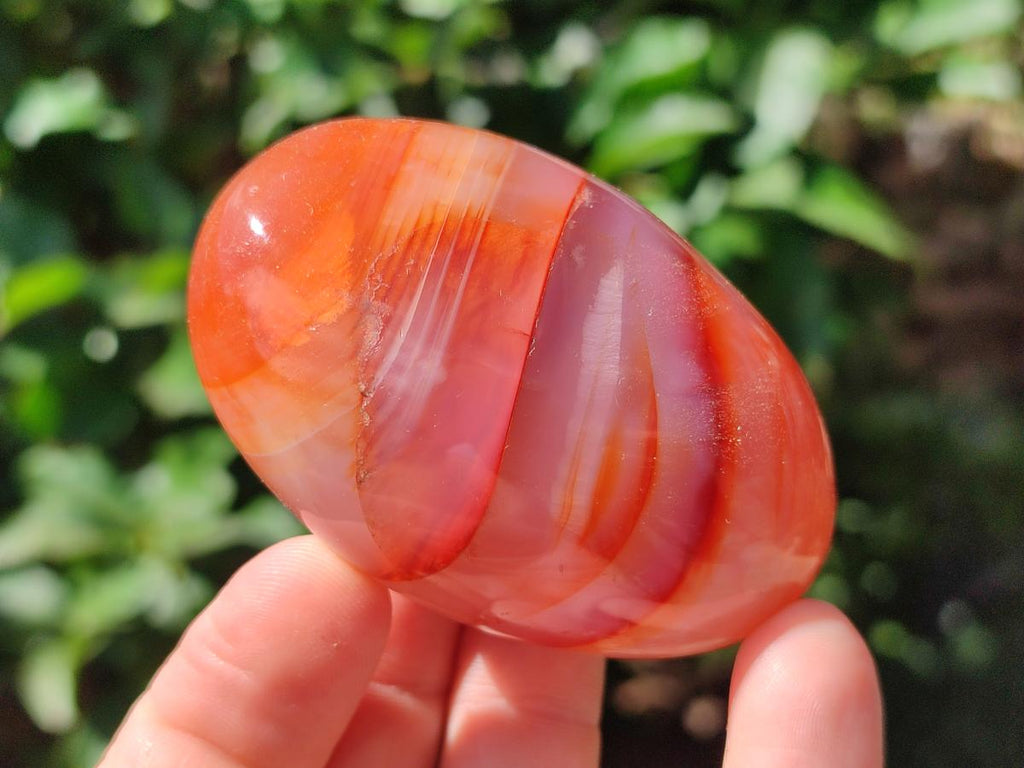 Polished Carnelian Agate Gemstone Galets x 12 From Madagascar