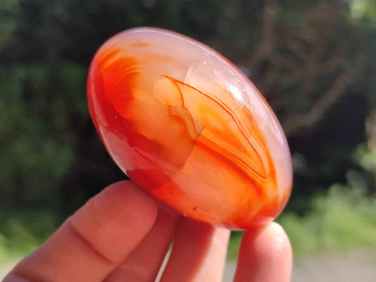 Polished Carnelian Agate Gemstone Galets x 12 From Madagascar