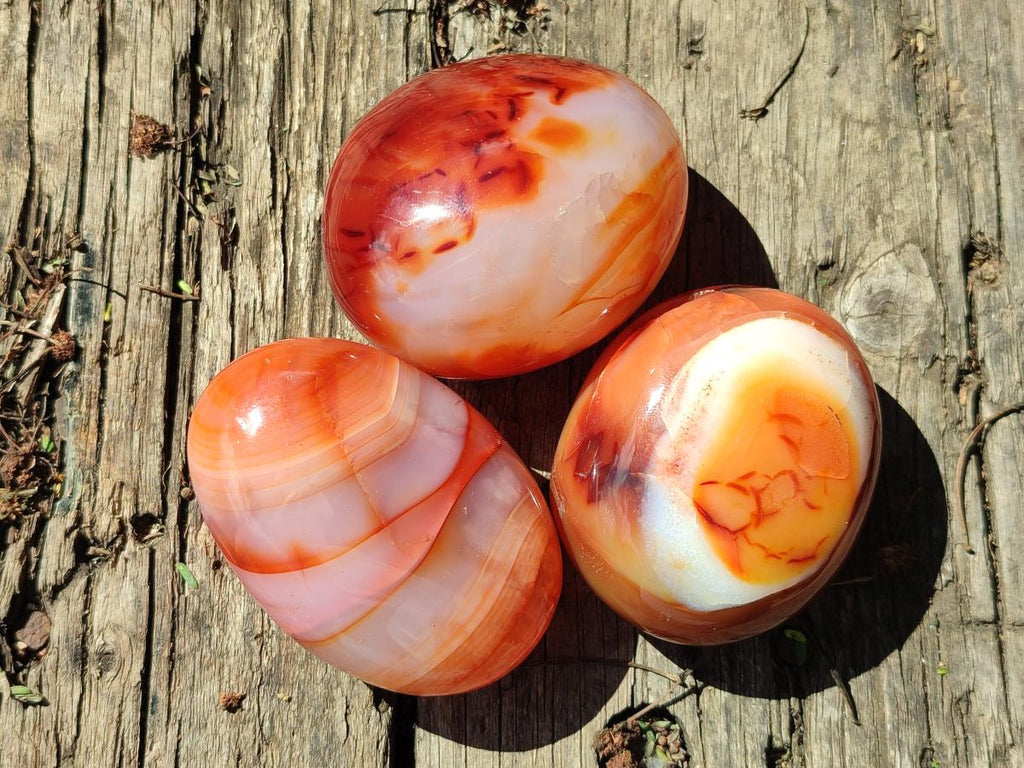 Polished Carnelian Agate Gemstone Galets x 12 From Madagascar