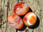 Polished Carnelian Agate Gemstone Galets x 12 From Madagascar