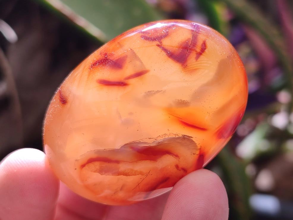 Polished Carnelian Agate Gemstone Galets x 12 From Madagascar