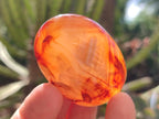 Polished Carnelian Agate Gemstone Galets x 12 From Madagascar