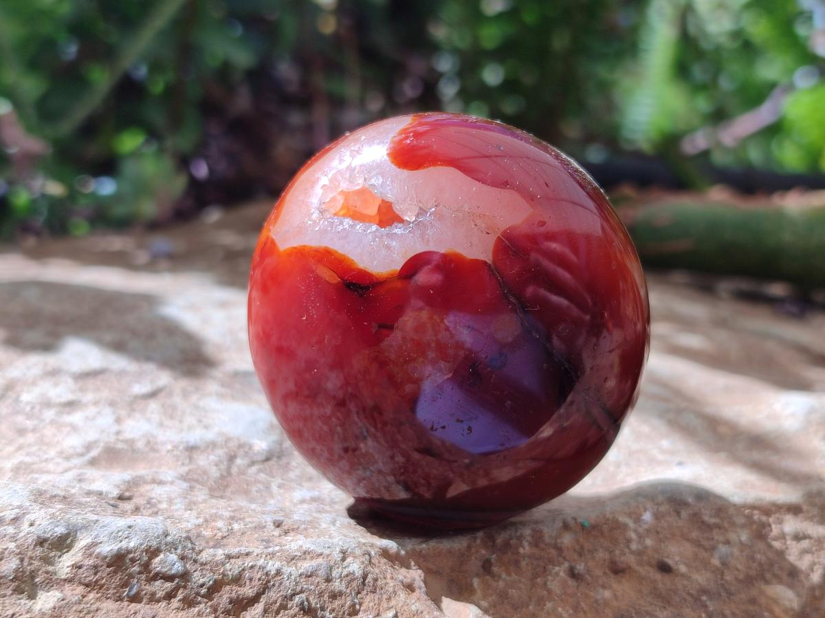 Polished Carnelian Agate Gemstone Galets x 12 From Madagascar