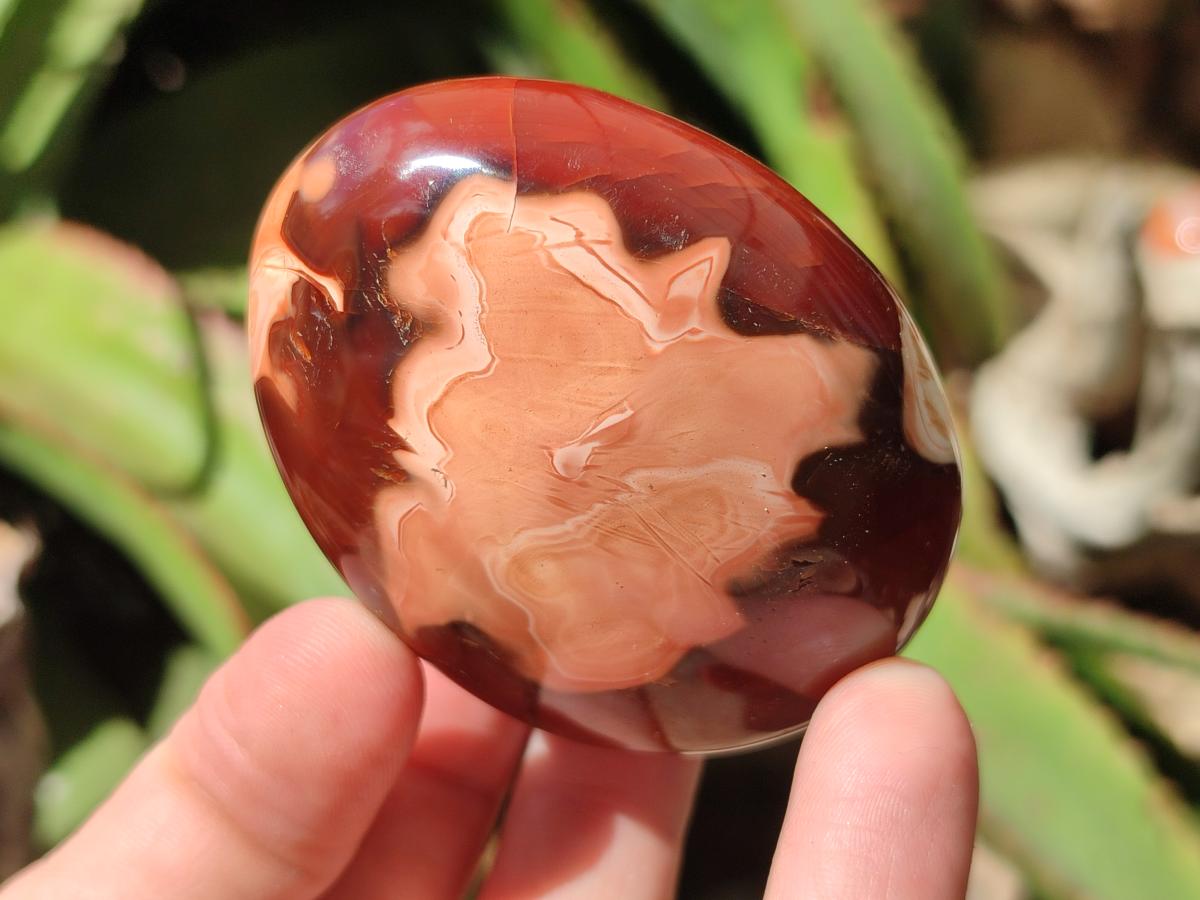 Polished Carnelian Agate Gemstone Galets x 12 From Madagascar