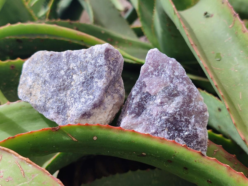 Natural Purple Lepidolite Cobbed Specimens x 24 From Rubicon Mine, Namibia