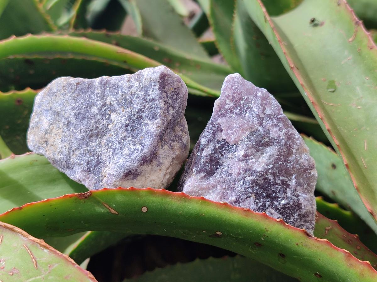 Natural Purple Lepidolite Cobbed Specimens x 24 From Rubicon Mine, Namibia
