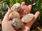 Polished Flower Agate Palm Stones x 20 From Antsahalova, Madagascar