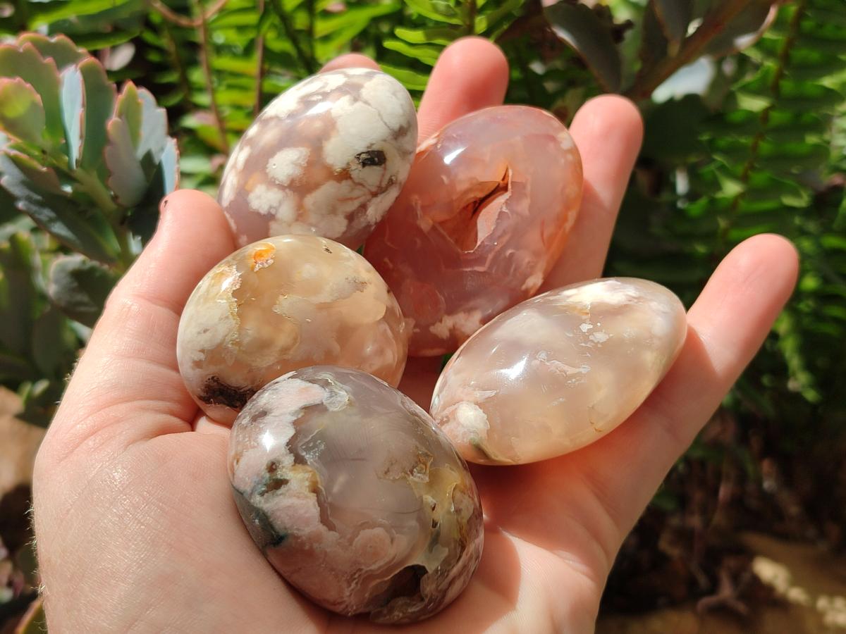 Polished Flower Agate Palm Stones x 20 From Antsahalova, Madagascar