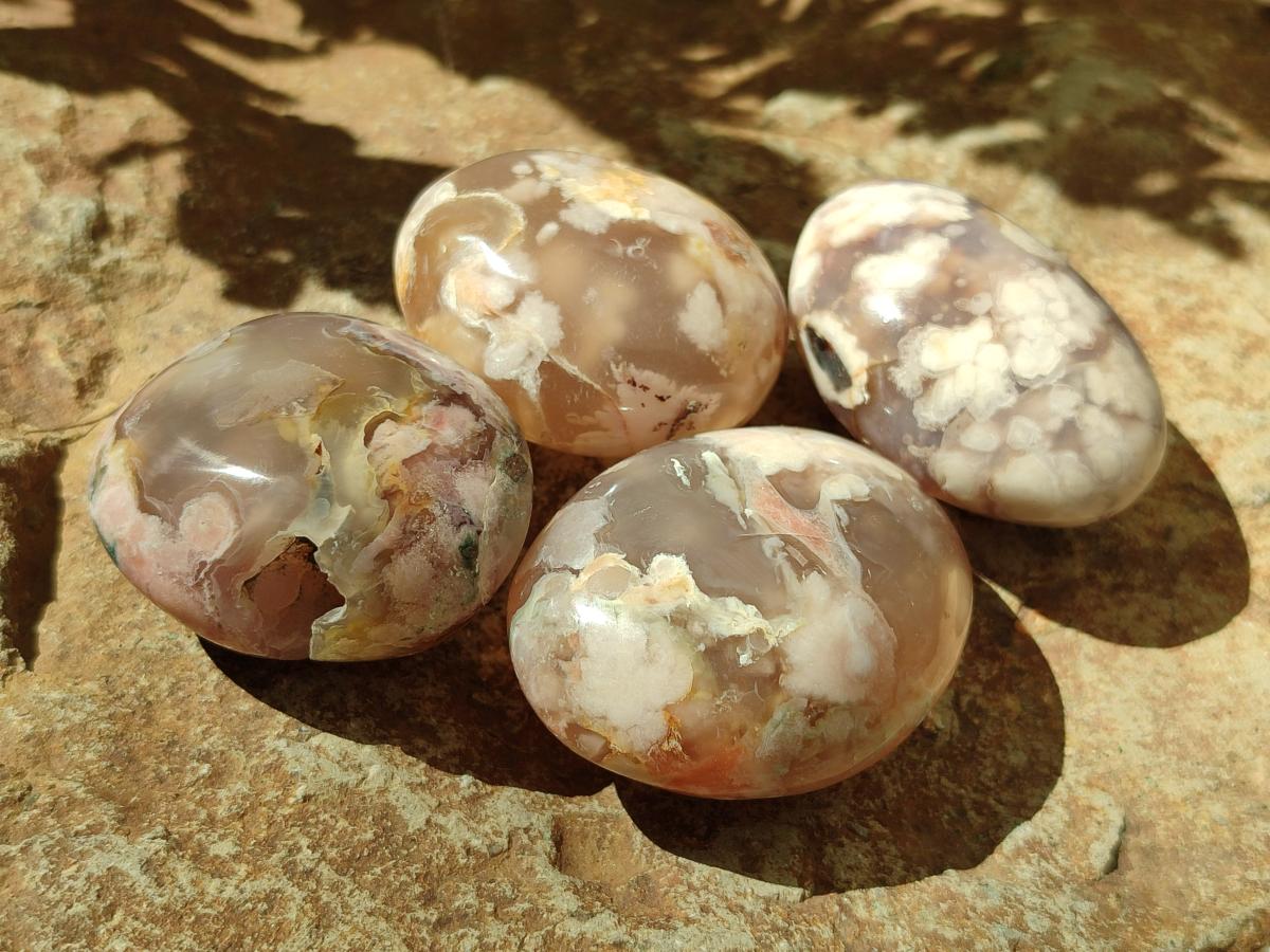Polished Flower Agate Palm Stones x 20 From Antsahalova, Madagascar