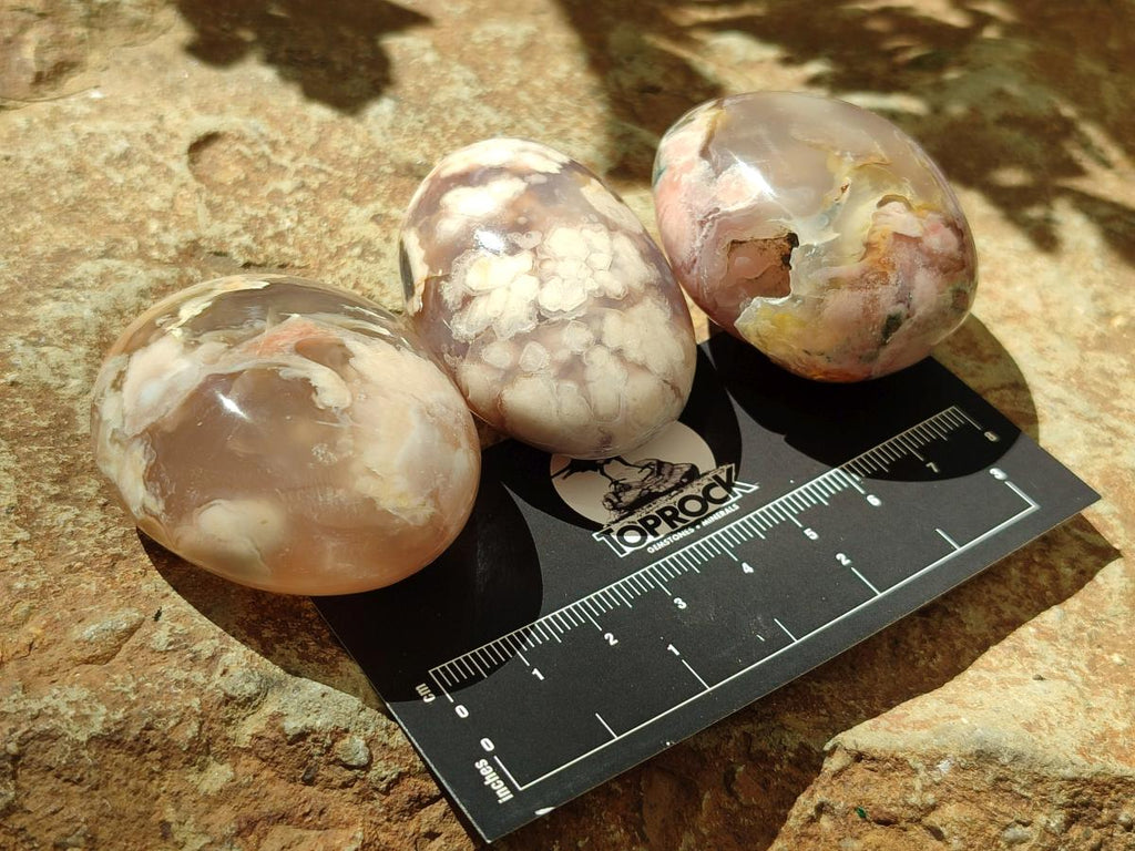 Polished Flower Agate Palm Stones x 20 From Antsahalova, Madagascar