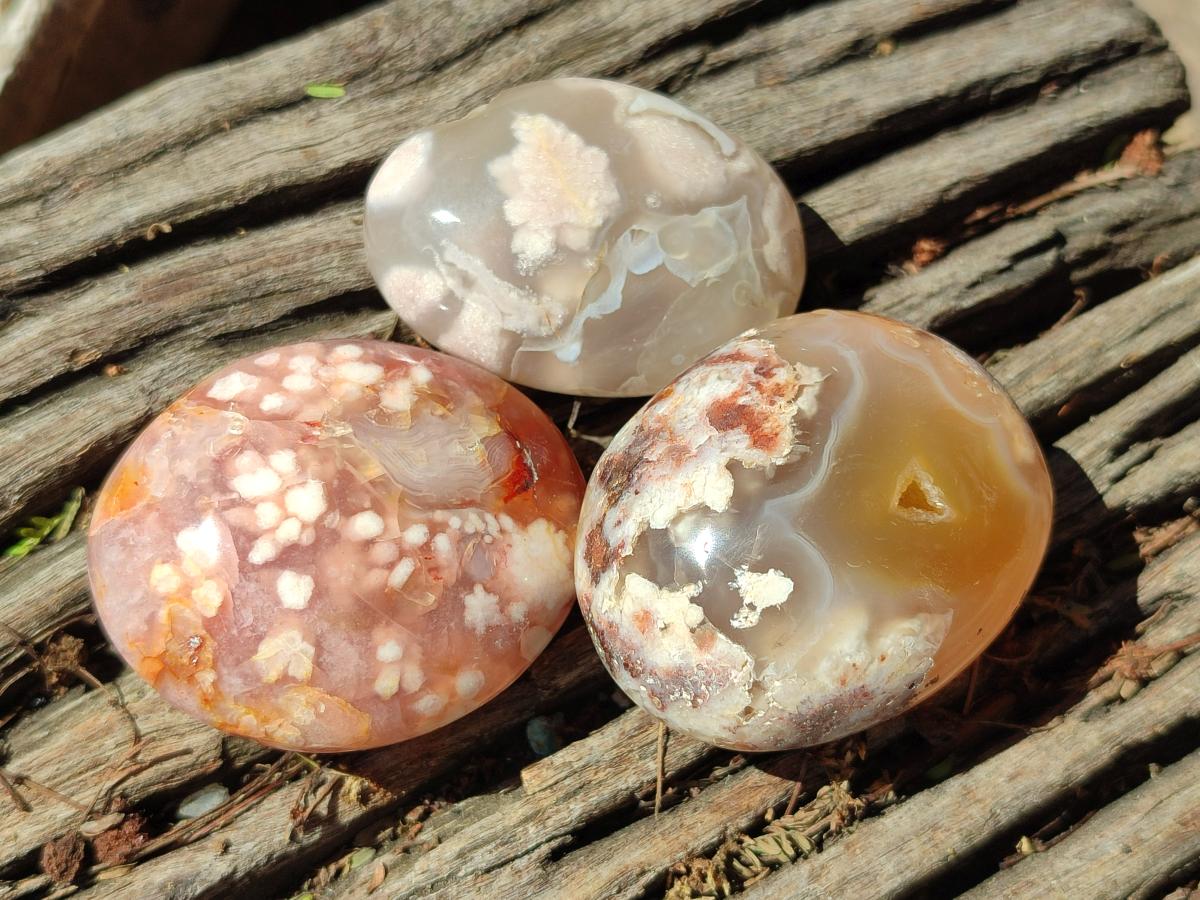 Polished Flower Agate Palm Stones x 20 From Antsahalova, Madagascar