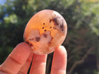 Polished Flower Agate Palm Stones x 20 From Antsahalova, Madagascar