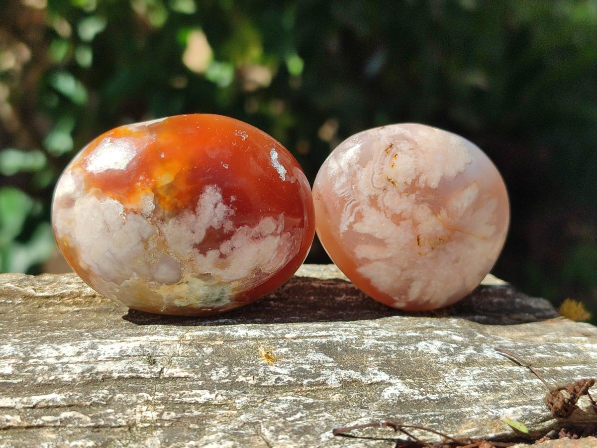 Polished Flower Agate Palm Stones x 20 From Antsahalova, Madagascar