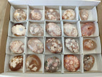Polished Flower Agate Palm Stones x 20 From Antsahalova, Madagascar