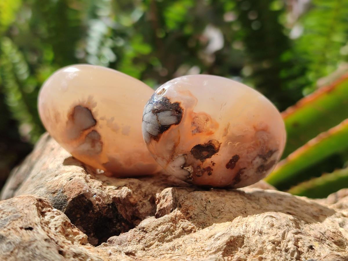 Polished Flower Agate Palm Stones x 20 From Antsahalova, Madagascar