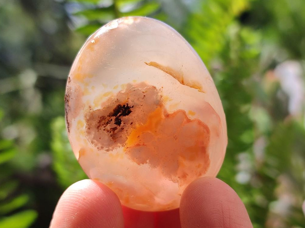 Polished Flower Agate Palm Stones x 20 From Antsahalova, Madagascar