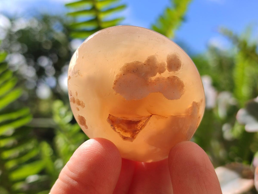 Polished Flower Agate Palm Stones x 20 From Antsahalova, Madagascar