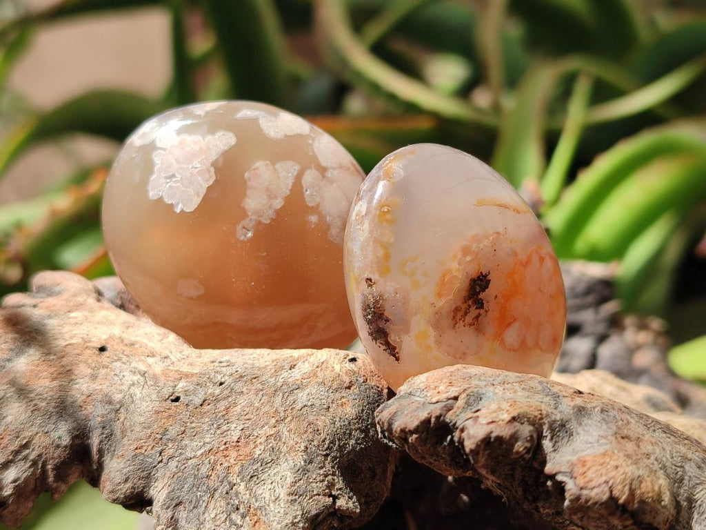 Polished Flower Agate Palm Stones x 20 From Antsahalova, Madagascar