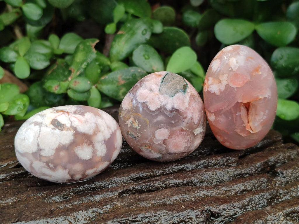Polished Flower Agate Palm Stones x 20 From Antsahalova, Madagascar