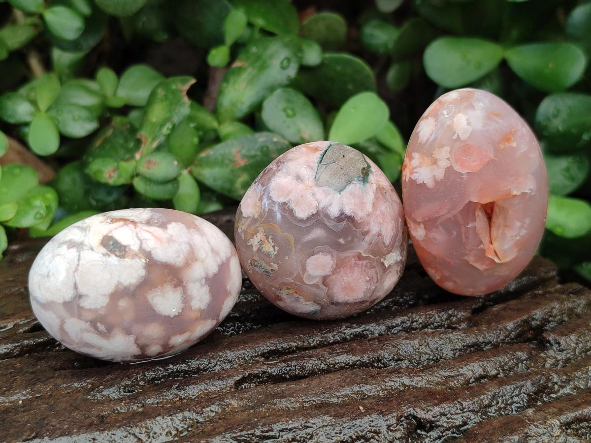Polished Flower Agate Palm Stones x 20 From Antsahalova, Madagascar