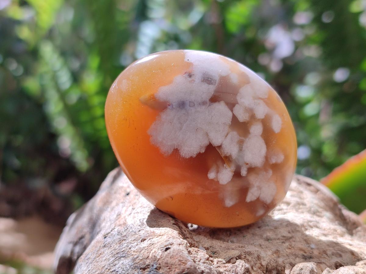 Polished Flower Agate Palm Stones x 20 From Antsahalova, Madagascar