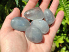 Polished Blue Celestite Galet Free Forms x 20 From Sakoany, Madagascar