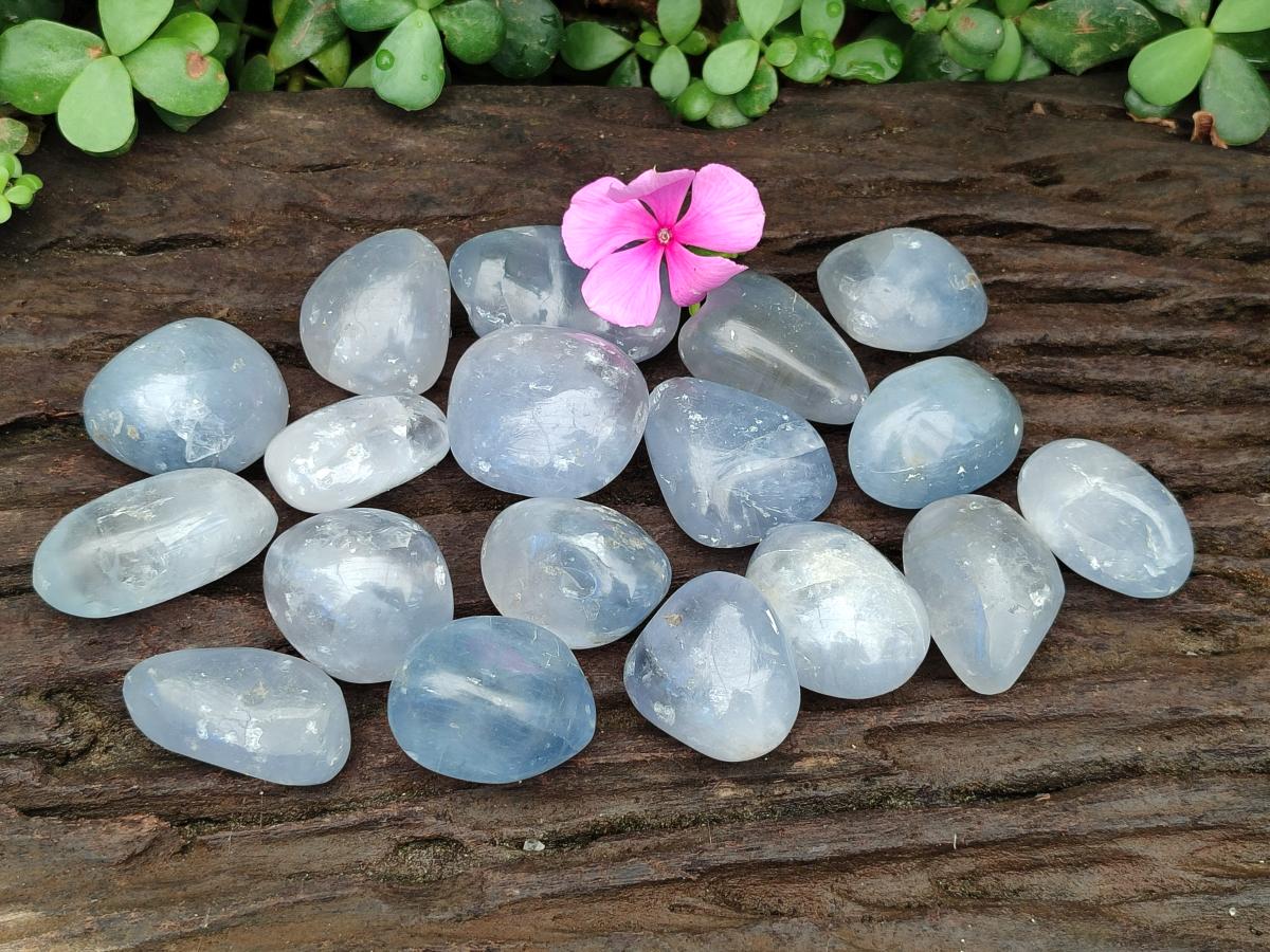 Polished Blue Celestite Galet Free Forms x 20 From Sakoany, Madagascar