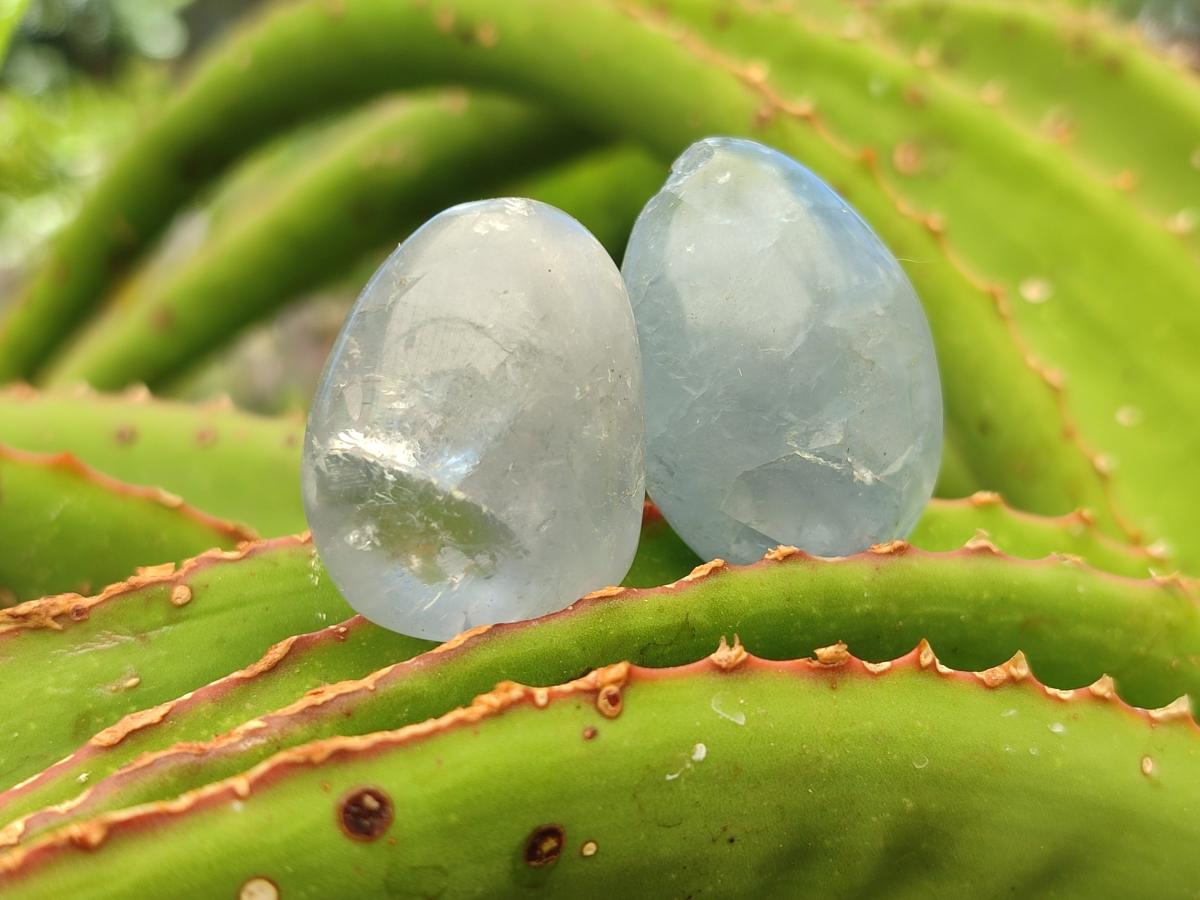 Polished Blue Celestite Galet Free Forms x 20 From Sakoany, Madagascar