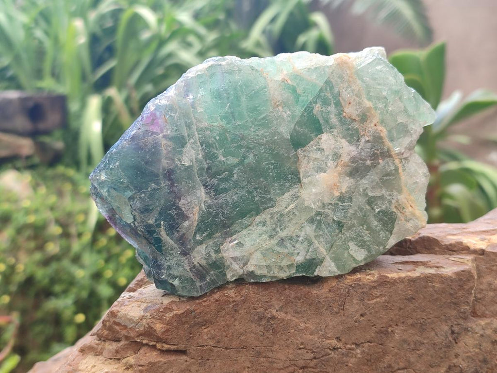 Natural Large Watermelon Fluorite Cobbed Specimens x 4 From Uis, Namibia