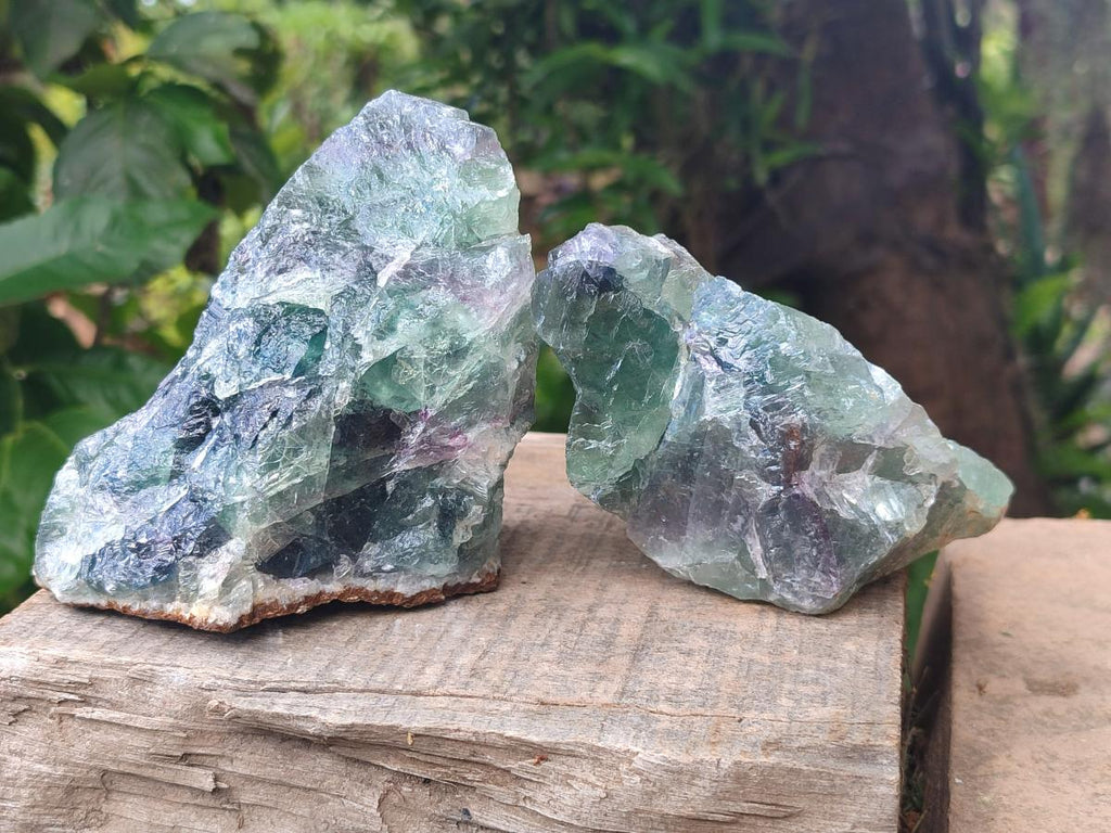Natural Large Watermelon Fluorite Cobbed Specimens x 4 From Uis, Namibia