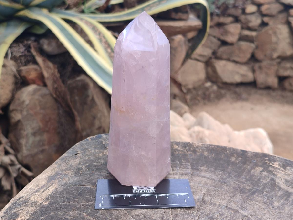 Polished Large Gemmy Rose Quartz Crystal Points x 2 From Madagascar