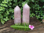 Polished Large Gemmy Rose Quartz Crystal Points x 2 From Madagascar