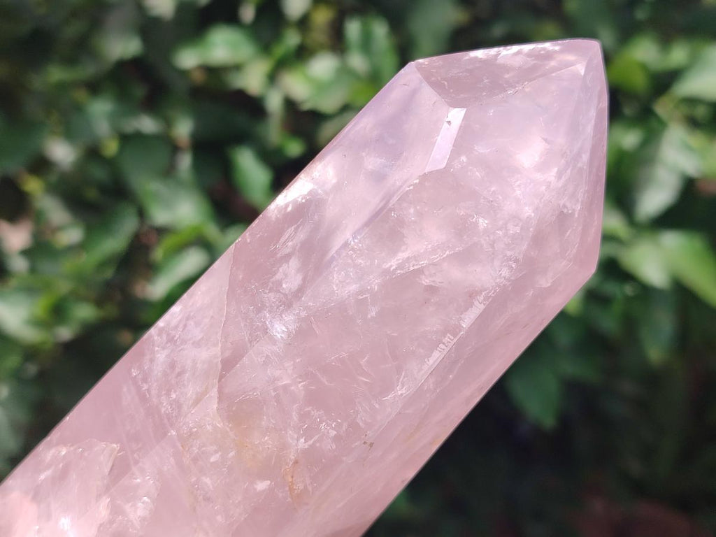 Polished Large Gemmy Rose Quartz Crystal Points x 2 From Madagascar