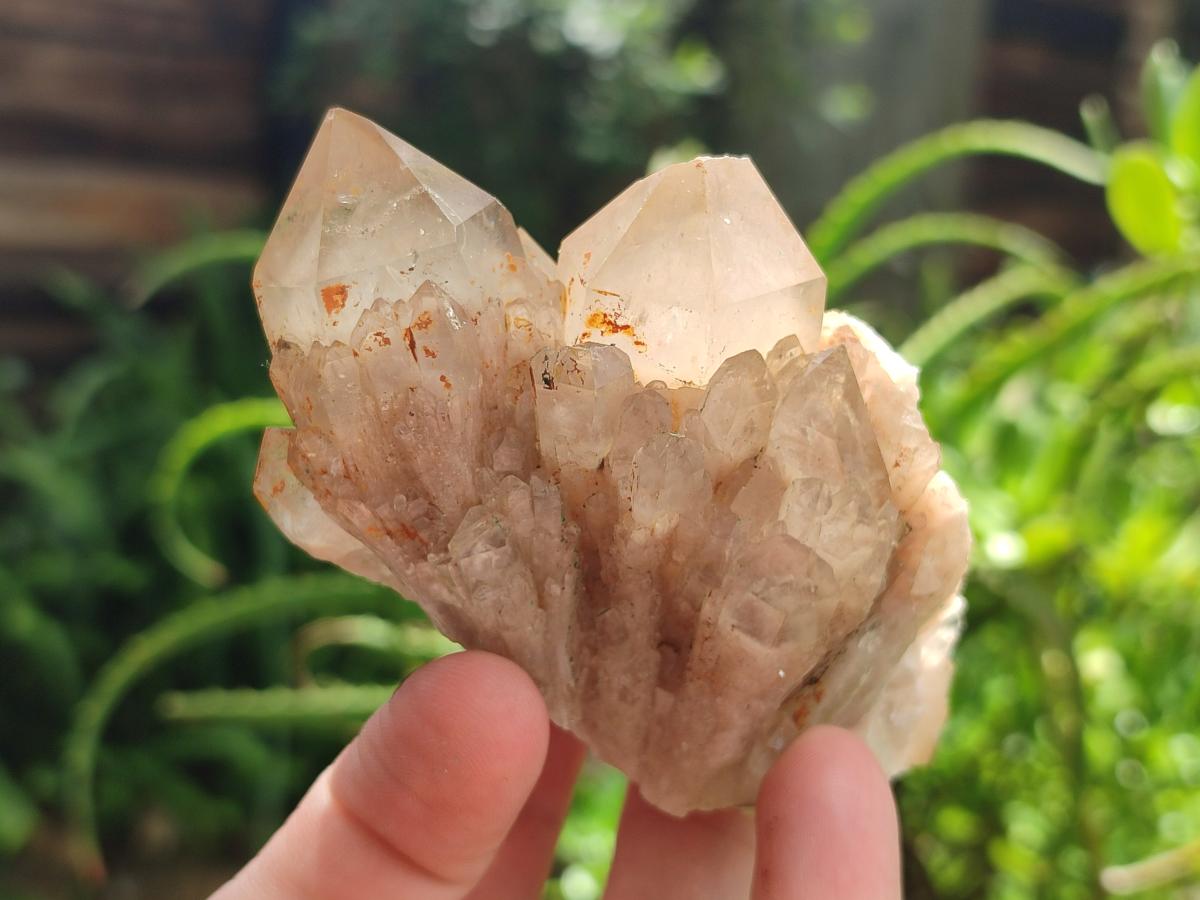 Natural Smokey Phantom Quartz Clusters and Crystals x 13 From Luena, Congo