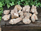 Natural Smokey Phantom Quartz Clusters and Crystals x 13 From Luena, Congo