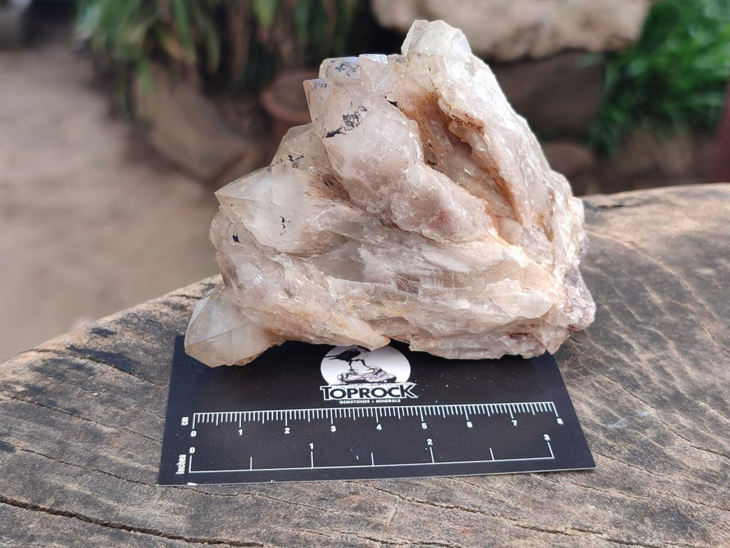 Natural Smokey Phantom Quartz Clusters and Crystals x 13 From Luena, Congo