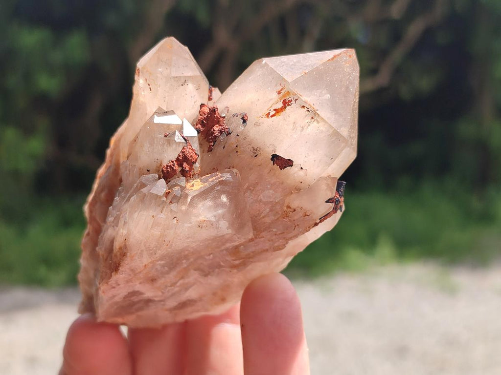 Natural Smokey Phantom Quartz Clusters and Crystals x 13 From Luena, Congo