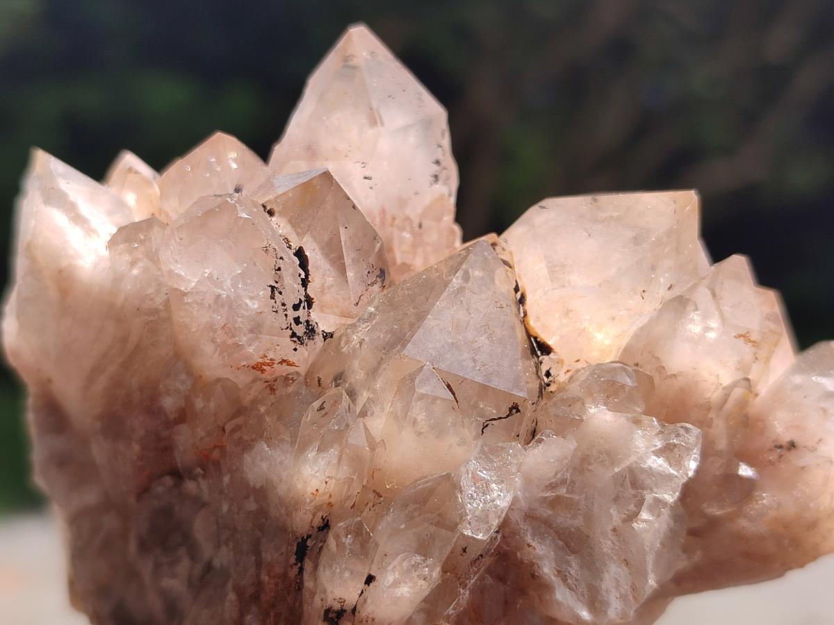 Natural Smokey Phantom Quartz Clusters and Crystals x 13 From Luena, Congo